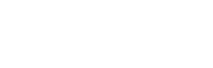 logo skin transparent